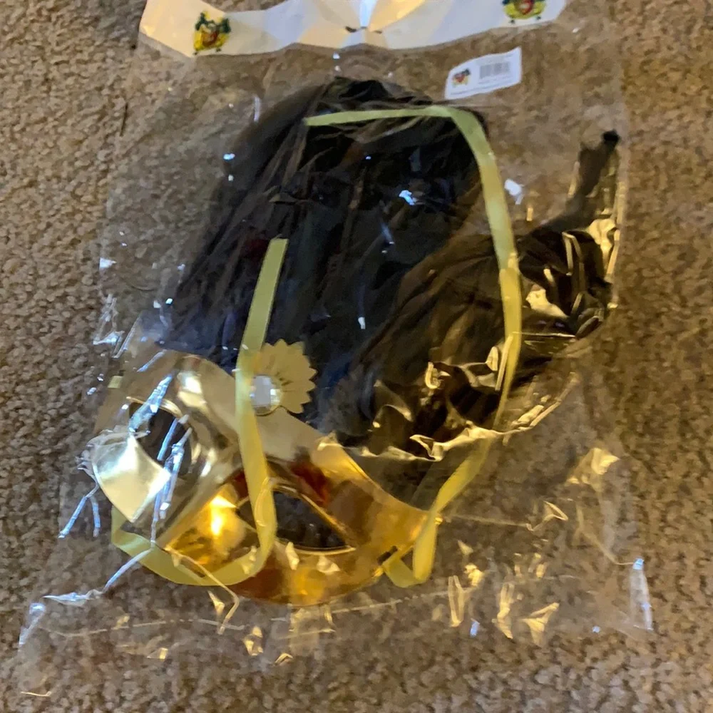 Masquerade Mask with Feathers